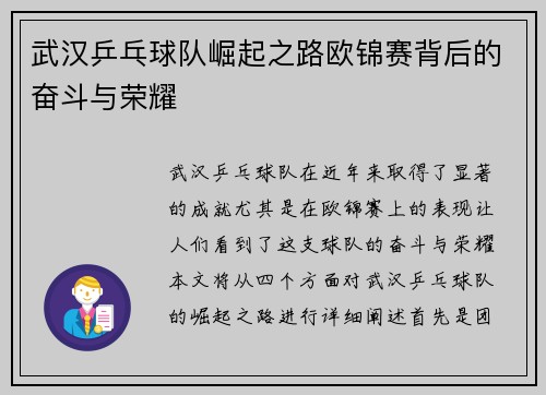 武汉乒乓球队崛起之路欧锦赛背后的奋斗与荣耀